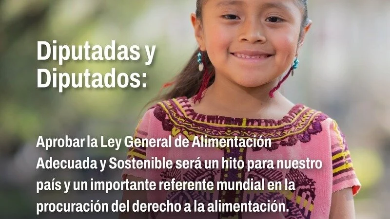 ¡Es urgente aprobar sin cambios la #LeyDeAlimentaciónYa!