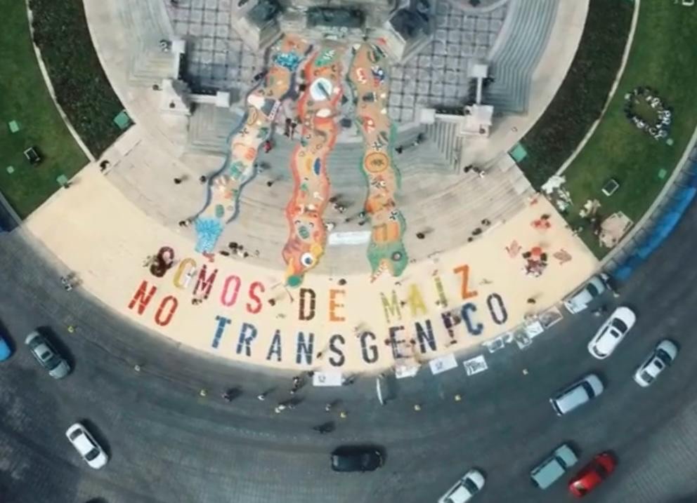 Defendamos el maíz: Exigimos medidas para proteger la soberanía alimentaria de México