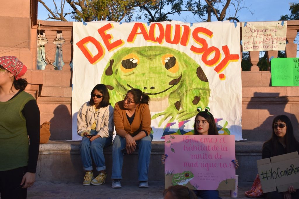 ¡Salvemos a la Rana de Madriguera y los humedales de Aguascalientes!