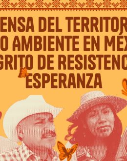 La Defensa del Territorio y el Medio Ambiente en México: Un Grito de Resistencia y Esperanza
